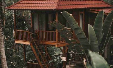 Eco Resort with River and Jungle Views in Bali