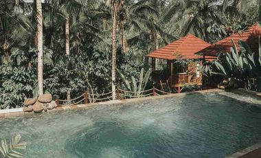 Eco Resort with River and Jungle Views in Bali