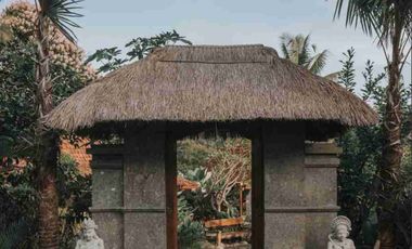 Eco Resort with River and Jungle Views in Bali