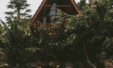 Eco Resort with River and Jungle Views in Bali