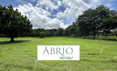 Abrio Nuvali for Sale, Phase 2 (803 sqm)