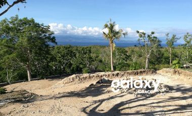 DIJUAL TANAH PED BUYUK NUSAPENIDA KLUNGKUNG, BALI