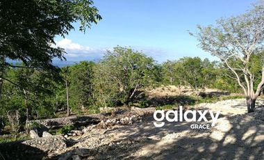 DIJUAL TANAH PED BUYUK NUSAPENIDA KLUNGKUNG, BALI
