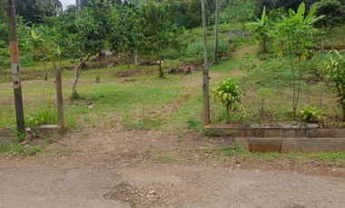 4000 M2 Tanah Kebun Strategis Pinggir Jalan Area Situ Ciburuy, Padalarang Bandung Barat