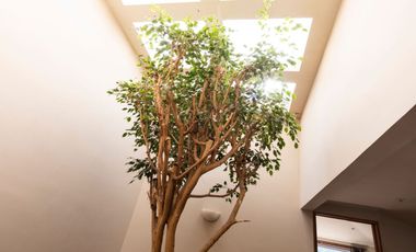 SE VENDA CASA EN CONDOMINIO EN DESIERTO DE LOS LEONES