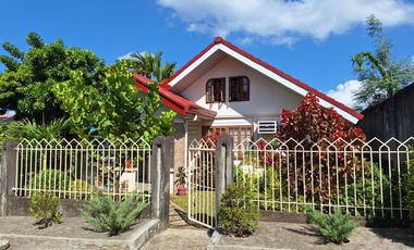 Modern House and Lot for Sale in San Lucas, San Pablo City Laguna