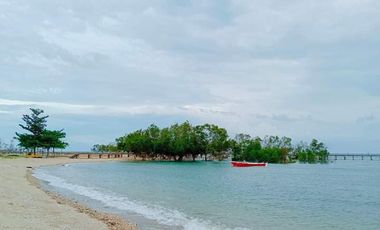near the beach 2- bedroom house and lot for sale in Aduna Danao Cebu