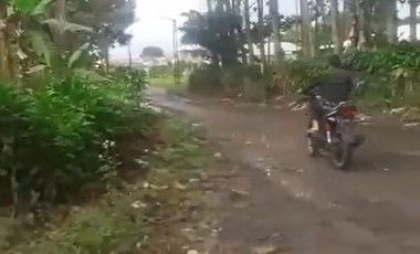 8,5 Ha Tanah Kebun Murah & Ada Mata Air, Cisomang Barat, Cikalong Wetan, Bandung Barat