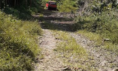 8,5 Ha Tanah Kebun Murah & Ada Mata Air, Cisomang Barat, Cikalong Wetan, Bandung Barat