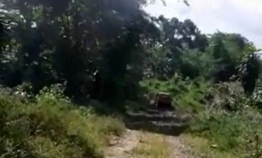 8,5 Ha Tanah Kebun Murah & Ada Mata Air, Cisomang Barat, Cikalong Wetan, Bandung Barat