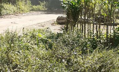 8,5 Ha Tanah Kebun Murah & Ada Mata Air, Cisomang Barat, Cikalong Wetan, Bandung Barat