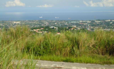 319 sqm Overlooking Residential lot for sale in Vista Grande Talisay Cebu