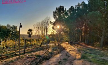 Se vende hermoso completo turístico en la región de Ñuble