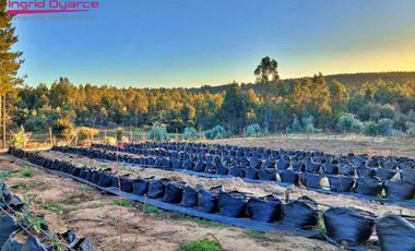 Se vende hermoso completo turístico en la región de Ñuble