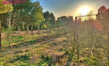Se vende hermoso completo turístico en la región de Ñuble