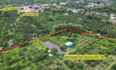 Mixed fruit orchard for sale with 3 houses, area 30 rai, 600 meters from the 4-lane road Chanthaburi-Sa Kaeo, Patong Subdistrict, Soi Dao District, Chanthaburi Province.