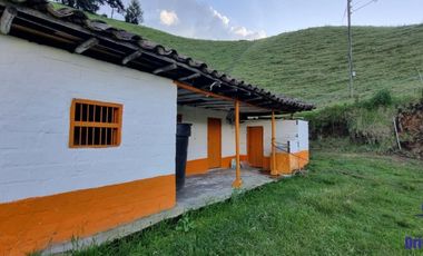 Finca agroindustrial ubicada en el municipio de La Unión Antioquia, vereda Pantalio