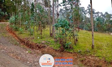 Hermosos Terrenos de Venta Sector Irquis (Tarqui) T157