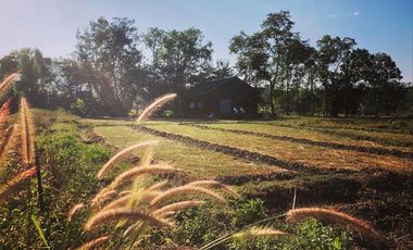3 Bedroom Black Barn House with Bright Modern Interior for sale in Pai