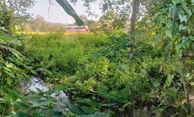 3 Bedroom Black Barn House with Bright Modern Interior for sale in Pai
