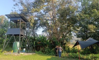 3 Bedroom Black Barn House with Bright Modern Interior for sale in Pai