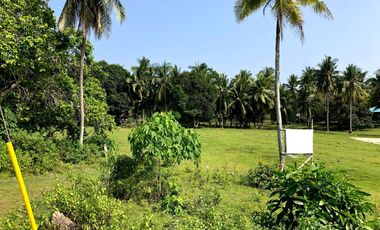 7,729 square meter commercial lot for sale located at Tawala Panglao
