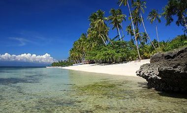 For Sale: Beach in Siquijor