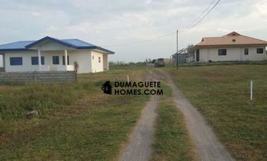 MOUNTAIN VIEW BUILDING ESTATE LOT FOR SALE IN DAUIN