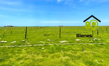 Hectárea en VENTA EN LA PLAYA