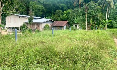 296 square meters of flat land are for sale in Thai Mueang, Phang-nga.