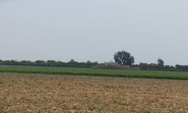 ¡Terreno en Venta en San Clemente, Pisco! 🌴