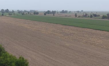 ¡Terreno en Venta en San Clemente, Pisco! 🌴