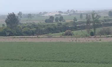¡Terreno en Venta en San Clemente, Pisco! 🌴
