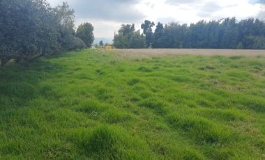 venta lote uso industrial vía siberia cota