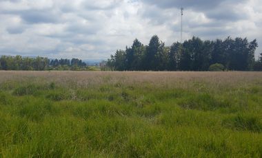 venta lote uso industrial vía siberia cota