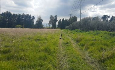 venta lote uso industrial vía siberia cota