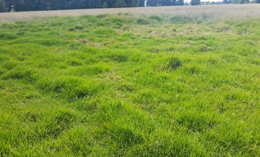 venta lote uso industrial vía siberia cota