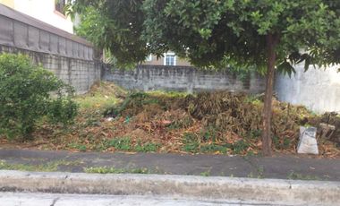 BF Homes Paranaque Vacant Lot for Sale