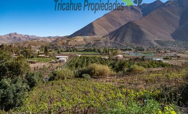 Terreno con cabañas amobladas para turistas y piscina, Valle del Elqui. $210 millones