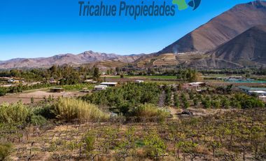 Terreno con cabañas amobladas para turistas y piscina, Valle del Elqui. $210 millones