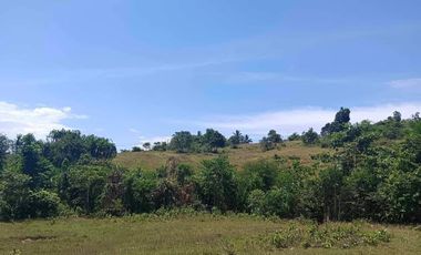Affordable Lot Only For Sale at Sam-ang Toledo City, Cebu, Philippines