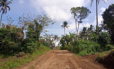 LOT FOR SALE IN CAVITE NEAR TAGAYTAY