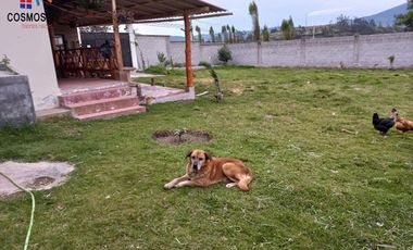 Casa con terreno de venta en Otavalo sector Ilumán, 1500 m2