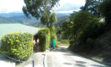 Finca en Producción Vereda Nariz Alta Sasaima, c.v. 1668