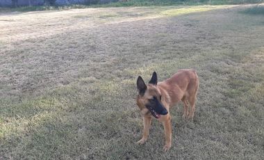 QUINTA EN VENTA EN MONTEMORELOS, NL, ZONA LAS PUENTES, A ORILLA CARRETERA