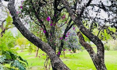 TERRENO EN VENTA EN COTO SAN NICOLAS SUPERFICIE 316, CONSTRUYA A SU GUSTO