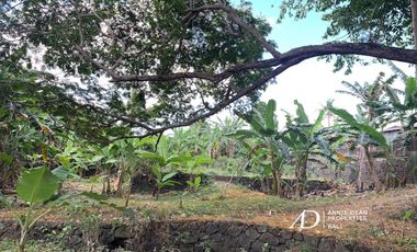 FREEHOLD AND LEASEHOLD LAND IN CANGGU ( 25.7 ARE )