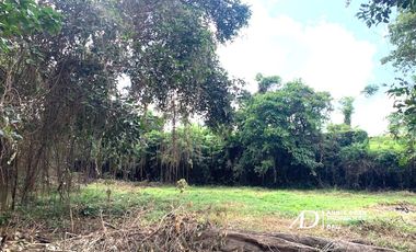 FREEHOLD AND LEASEHOLD LAND IN CANGGU ( 25.7 ARE )