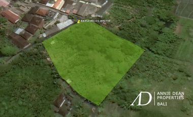 FREEHOLD AND LEASEHOLD LAND IN CANGGU ( 25.7 ARE )