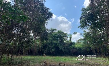 FREEHOLD AND LEASEHOLD LAND IN CANGGU ( 25.7 ARE )